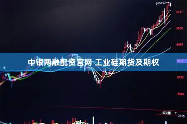 中银两融配资官网 工业硅期货及期权