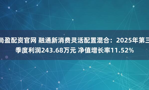 尚盈配资官网 融通新消费灵活配置混合：2025年第三季度利润243.68万元 净值增长率11.52%