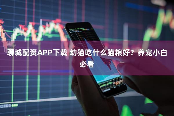 聊城配资APP下载 幼猫吃什么猫粮好？养宠小白必看