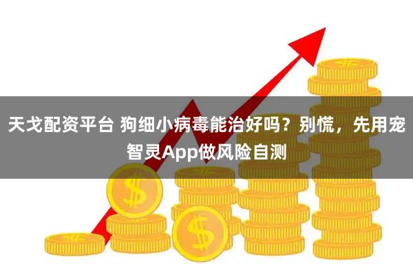 天戈配资平台 狗细小病毒能治好吗？别慌，先用宠智灵App做风险自测