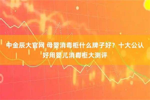 中金辰大官网 母婴消毒柜什么牌子好？十大公认好用婴儿消毒柜大测评